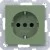 morepic-1