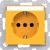 morepic-1