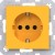 morepic-1