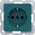 morepic-1