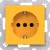 morepic-1
