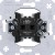 morepic-1