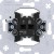 morepic-1