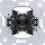 morepic-1