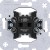 morepic-1