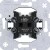 morepic-1