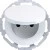 morepic-1