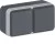 morepic-1