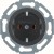 morepic-1