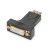 morepic-1